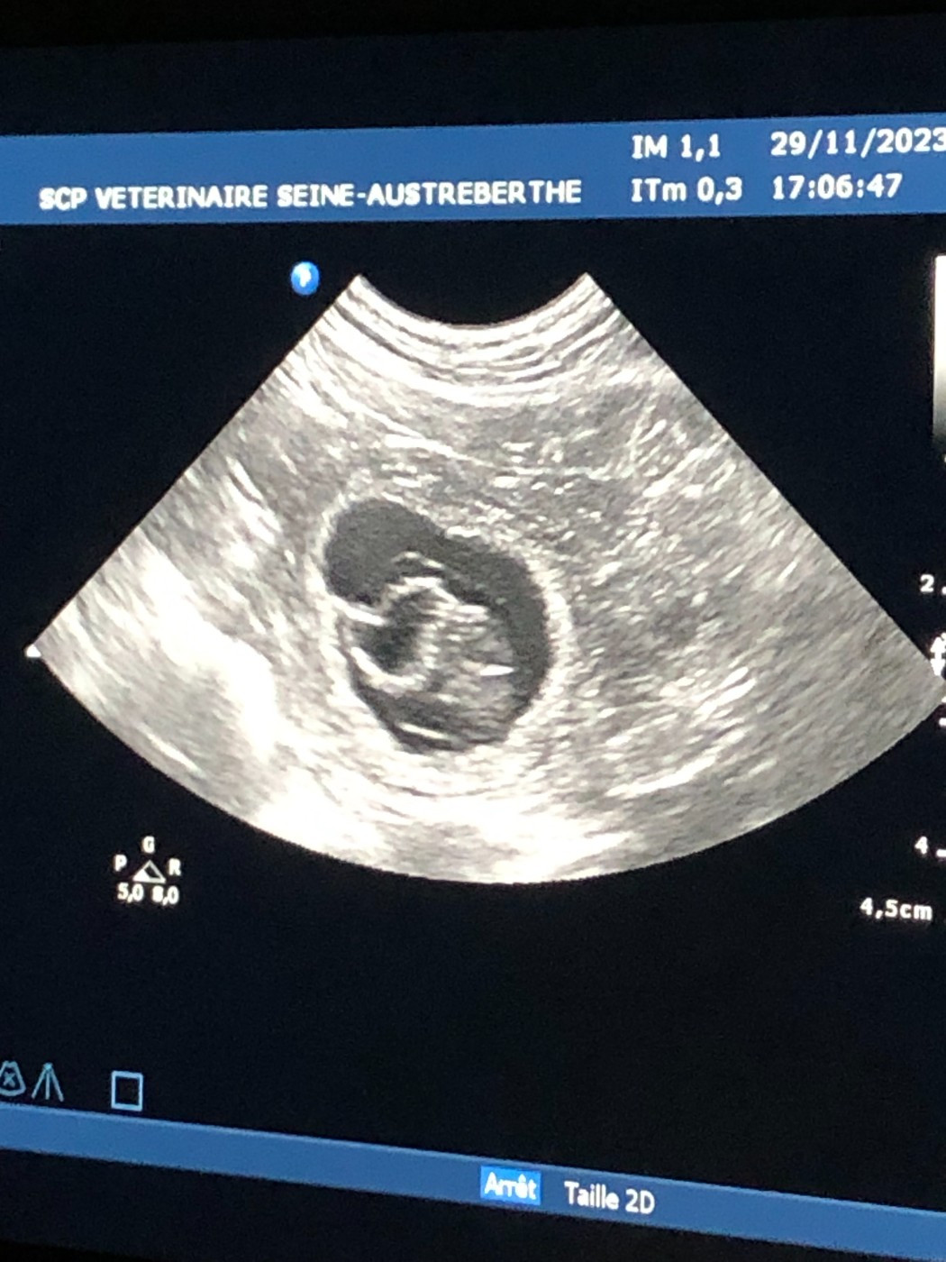 Naissance 1er janvier 2024